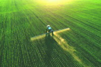 Global corn and wheat acreage may cut by 3% in 2026 due to growing fertilizer costs amid Middle Eastern conflict