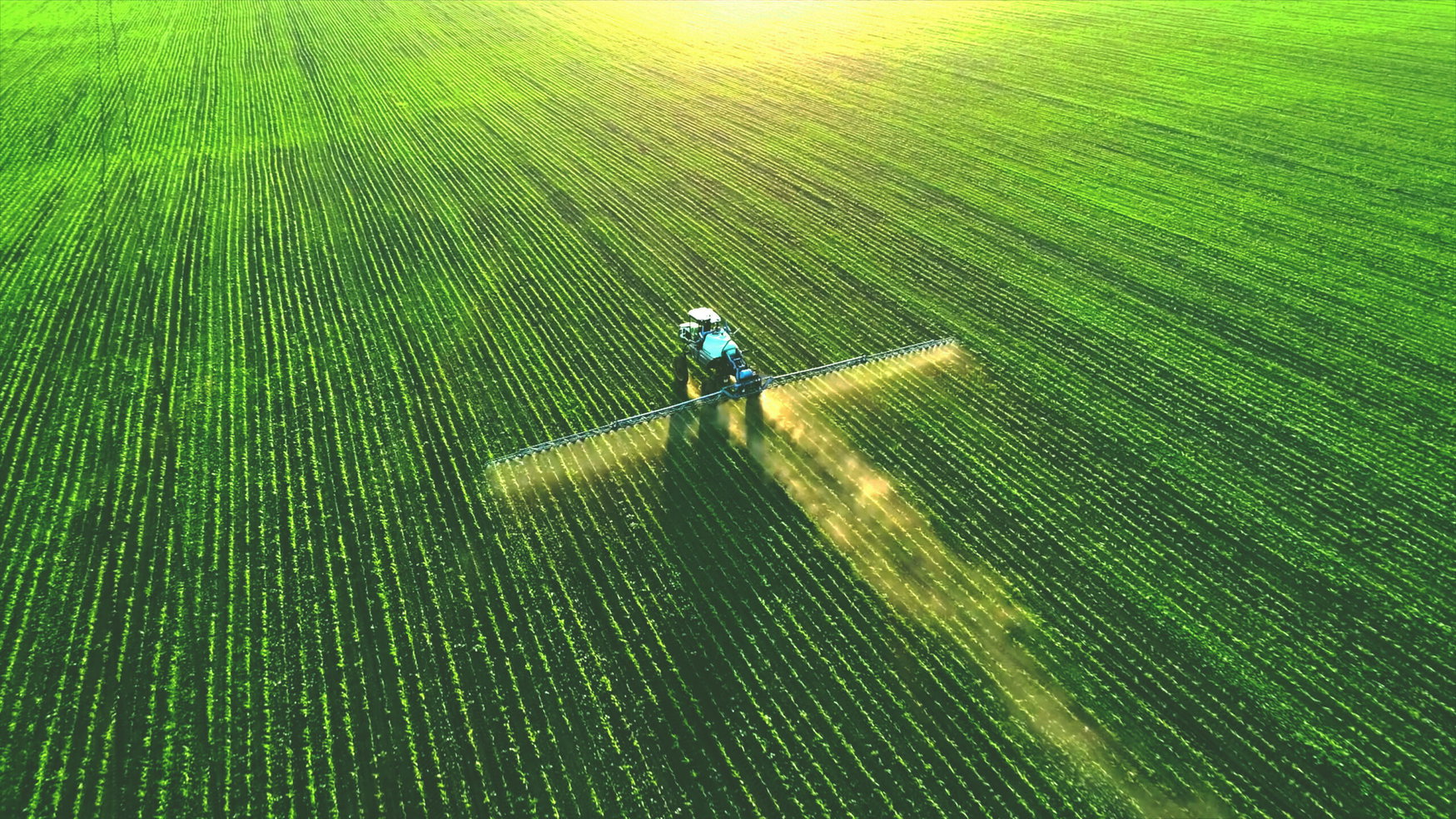 Global corn and wheat acreage may cut by 3% in 2026 due to growing fertilizer costs amid Middle Eastern conflict