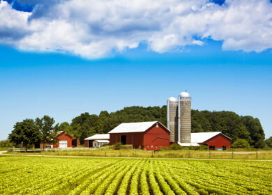 U.S. farm bankruptcies surge 46% in 2025, reaching highest level in five years