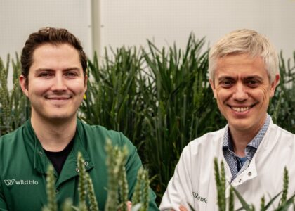 Wild Bioscience targets market-ready climate-resilient crops after £45M Series A and U.K. wheat consortium launch