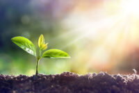 EU-backed InBestSoil project builds financial case for soil restoration across nine countries
