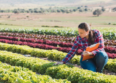American Farm Bureau: 70% of US farmers cannot afford full fertilizer needs as spring planting peaks