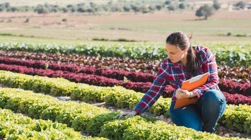 American Farm Bureau: 70% of US farmers cannot afford full fertilizer needs as spring planting peaks