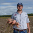 Mississippi State University builds $1.6M sweet potato storage research facility at Pontotoc Ridge station