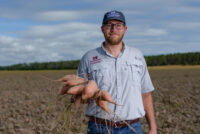Mississippi State University builds $1.6M sweet potato storage research facility at Pontotoc Ridge station