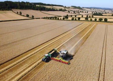 UK chemicals industry warns of mounting competitiveness crisis