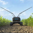 AI could boost farm productivity, but smallholders risk being left behind