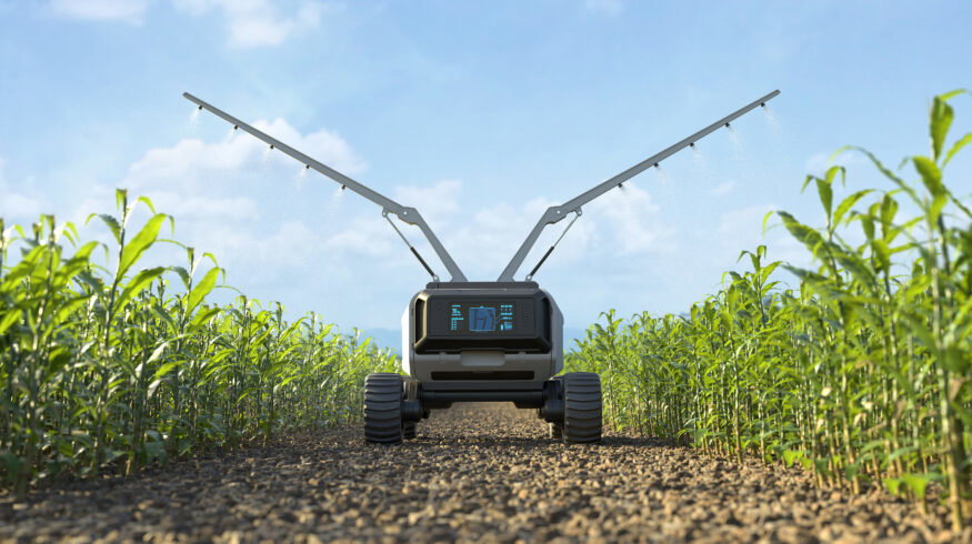 AI could boost farm productivity, but smallholders risk being left behind