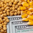 Urea-to-corn price ratio hits record highs as Hormuz crisis changes nitrogen costs