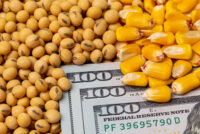 Urea-to-corn price ratio hits record highs as Hormuz crisis changes nitrogen costs