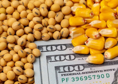 Urea-to-corn price ratio hits record highs as Hormuz crisis changes nitrogen costs
