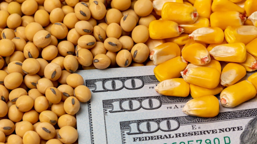 Urea-to-corn price ratio hits record highs as Hormuz crisis changes nitrogen costs
