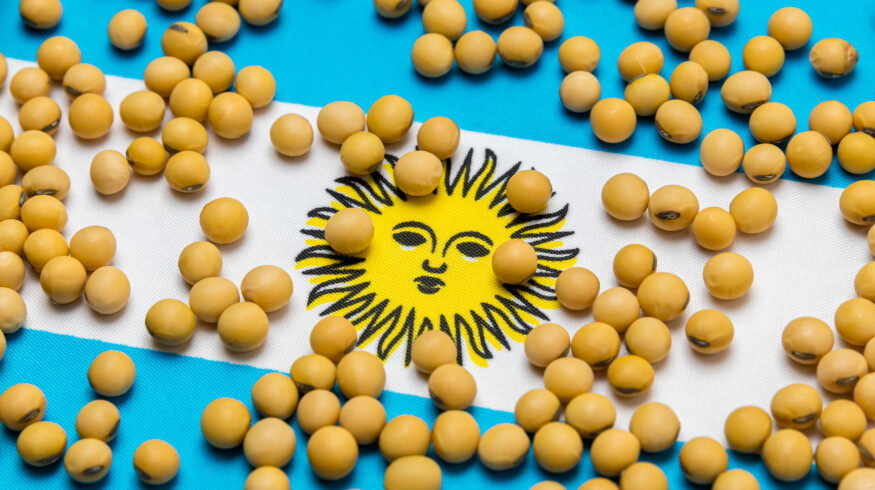 Argentina cuts export taxes on grains and outlines further reductions through 2028