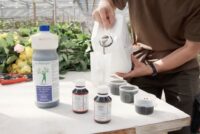 German agtech firm to invest $1.1 million in India’s growing nano-agriculture market