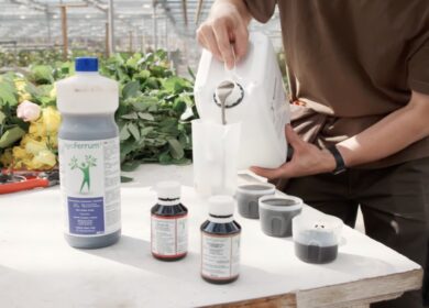 German agtech firm to invest $1.1 million in India’s growing nano-agriculture market
