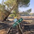 Gallo terminates Lodi crush facility as California wine downturn deepens