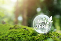 SBTi updates net-zero standard to allow carbon credits in corporate climate targets