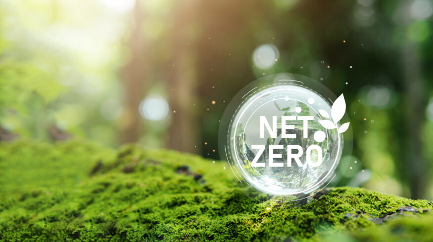 SBTi updates net-zero standard to allow carbon credits in corporate climate targets