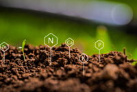 Iowa State urges late-spring nitrate testing as residual soil nitrogen runs high and variable