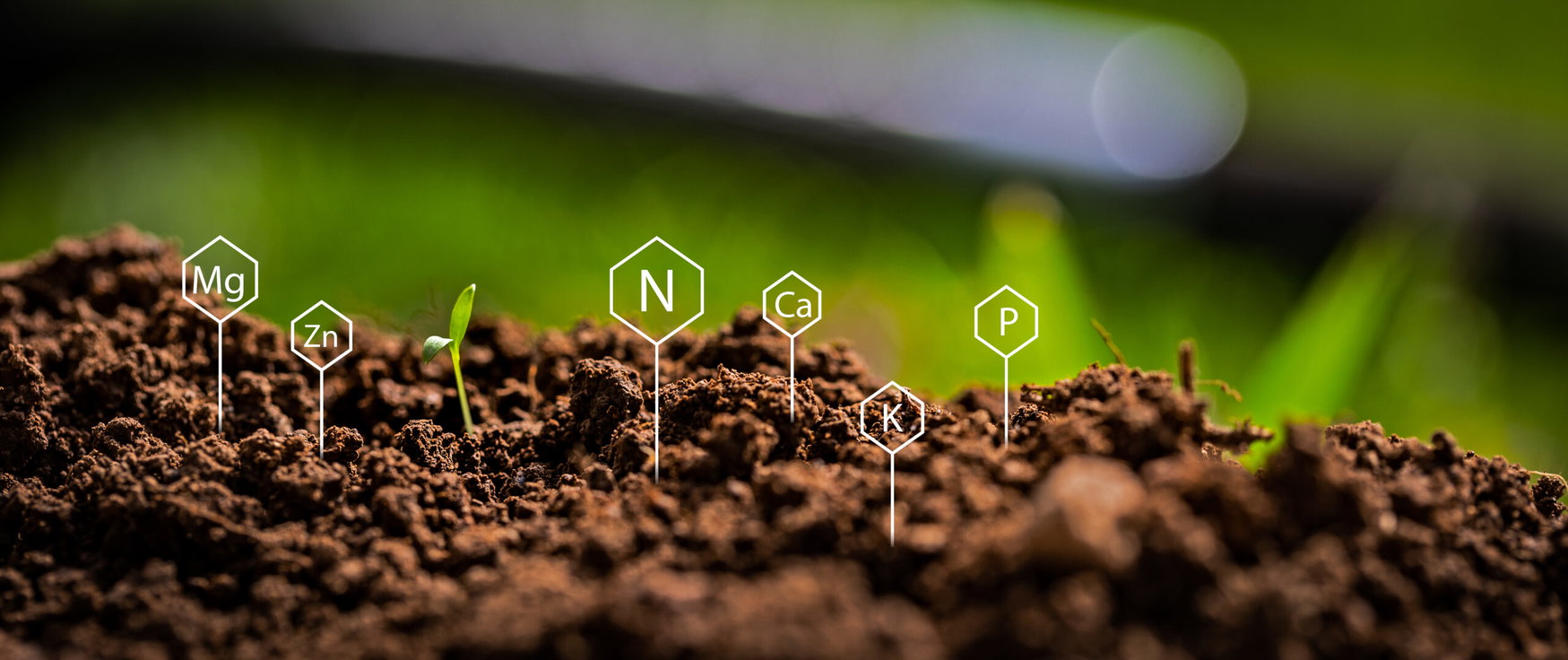 Iowa State urges late-spring nitrate testing as residual soil nitrogen runs high and variable