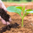 GSR Solutions promotes recovered nutrients to reduce runoff and increase fertilizer supply