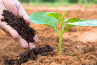 GSR Solutions promotes recovered nutrients to reduce runoff and increase fertilizer supply