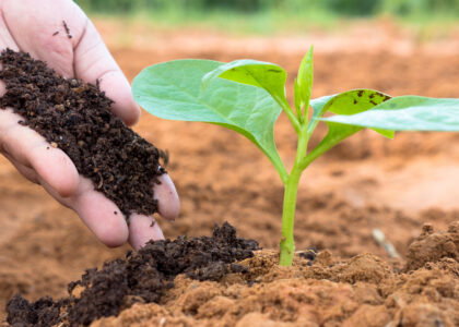 GSR Solutions promotes recovered nutrients to reduce runoff and increase fertilizer supply