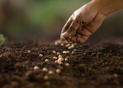 Nebraska farmer sees weed suppression, soil gains from interseeding cover crops