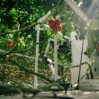 Eternal.ag and Rijk Zwaan partner to develop tomato varieties for automated greenhouse harvesting