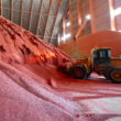 65 farm groups press U.S. Commerce Secretary to scrap Moroccan phosphate duties