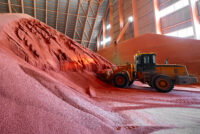 65 farm groups press U.S. Commerce Secretary to scrap Moroccan phosphate duties