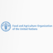FAO warns Hormuz closure has become a critical failure point for global food supply