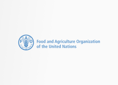 FAO warns Hormuz closure has become a critical failure point for global food supply