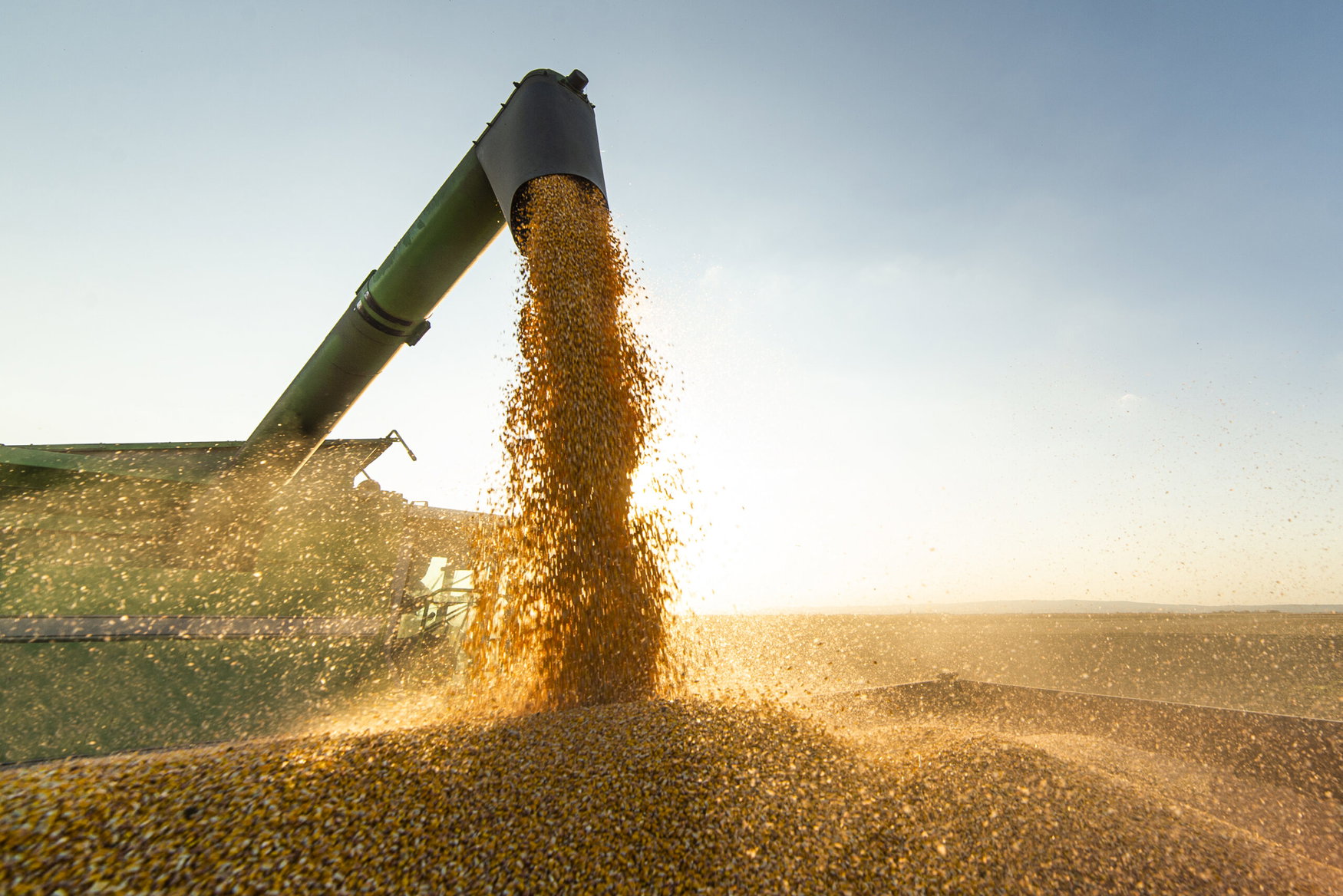 Spain’s grain harvest set to fall as rain and heat hit yields