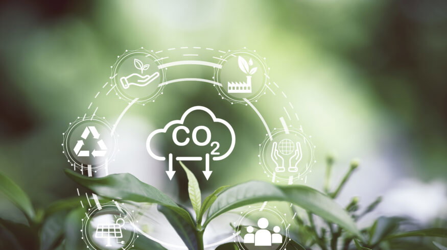 Australia launches first carbon refinery to convert captured CO₂ from ammonia production