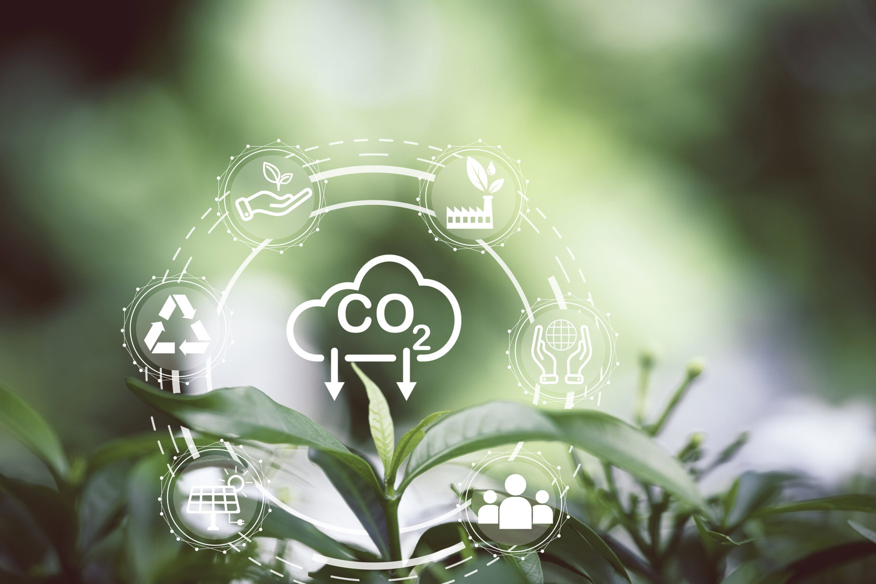Australia launches first carbon refinery to convert captured CO₂ from ammonia production