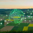 AI and genetics startups race to transform farming as food demand rises