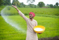 India’s fertilizer subsidy bill is set to exceed previous records as DAP imports are finalized at $935 per tonne