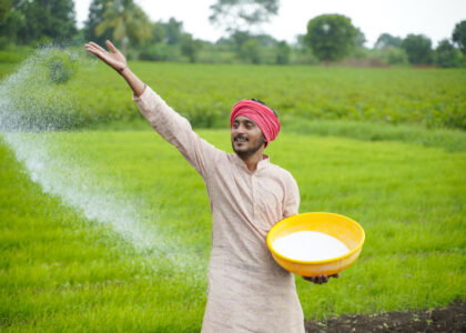 India’s fertilizer subsidy bill is set to exceed previous records as DAP imports are finalized at $935 per tonne