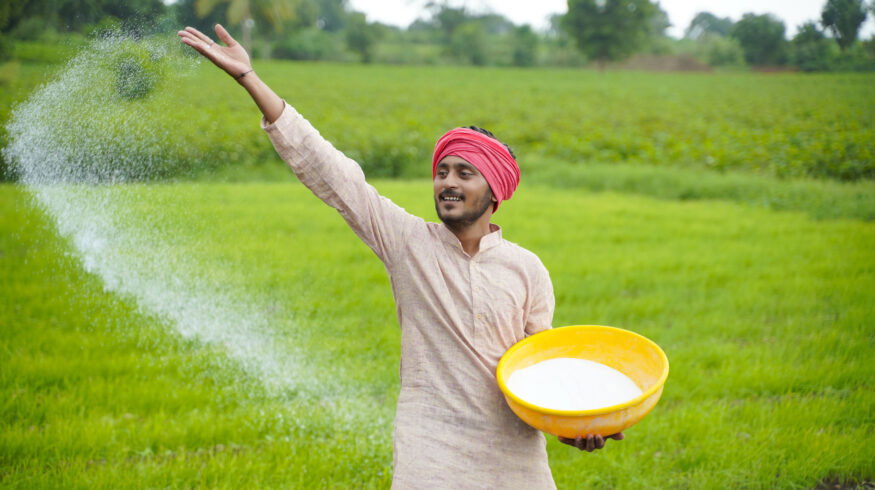 India’s fertilizer subsidy bill is set to exceed previous records as DAP imports are finalized at $935 per tonne