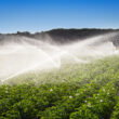 San Diego’s desalination strategy gains attention as Western water shortages deepen