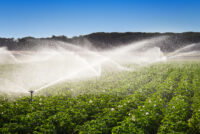 San Diego’s desalination strategy gains attention as Western water shortages deepen