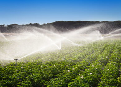 San Diego’s desalination strategy gains attention as Western water shortages deepen