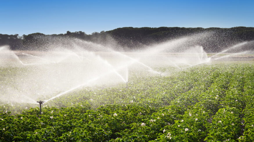 San Diego’s desalination strategy gains attention as Western water shortages deepen