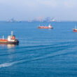 UN data reveals Hormuz disruption slashed urea exports 83% and total trade volumes 54%