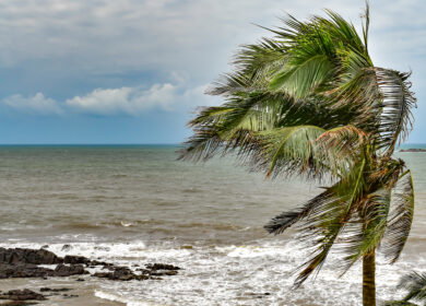 UN warns El Niño could intensify global weather extremes through 2027