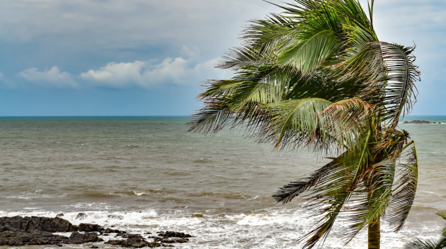UN warns El Niño could intensify global weather extremes through 2027