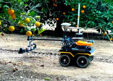 UC Riverside robot maps orchard soil moisture tree by tree to cut water use