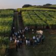 SAI Platform launches regenerative agriculture program to standardize adoption across global supply chains