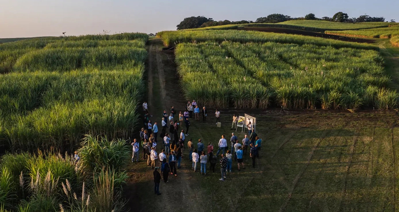 SAI Platform launches regenerative agriculture program to standardize adoption across global supply chains